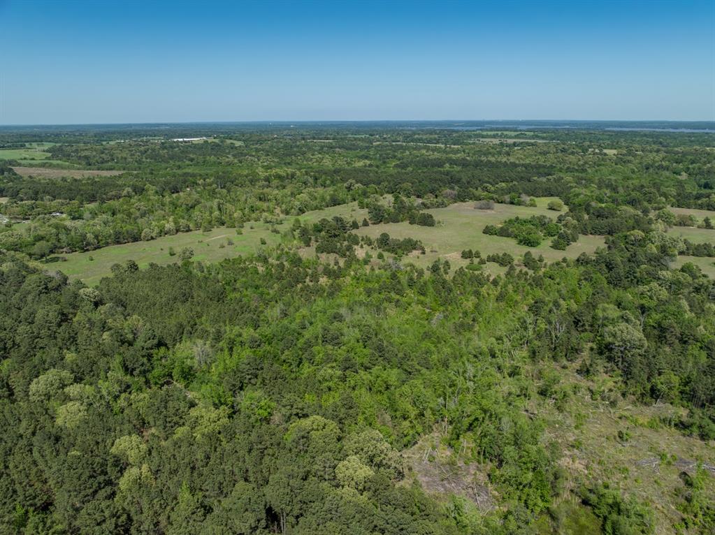County Road 3415, Chandler, Texas image 6