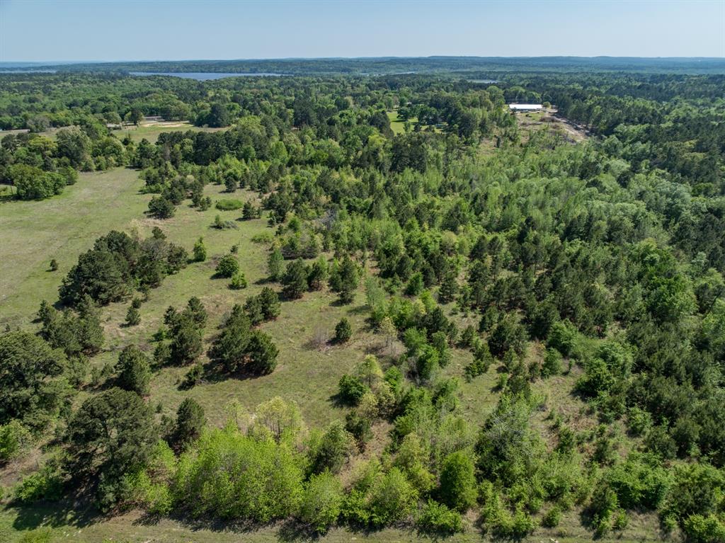 County Road 3415, Chandler, Texas image 12