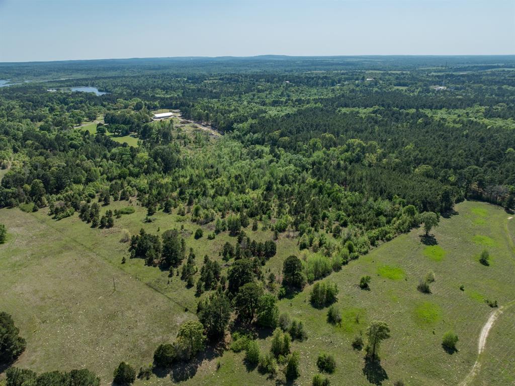 County Road 3415, Chandler, Texas image 4