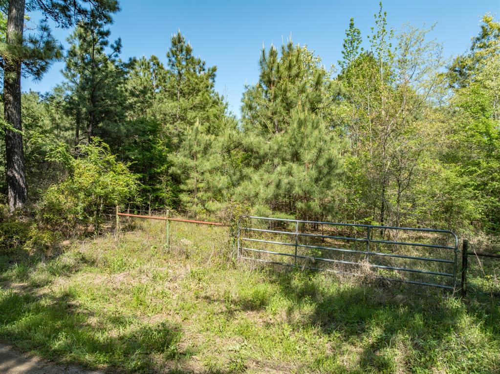 County Road 3415, Chandler, Texas image 10