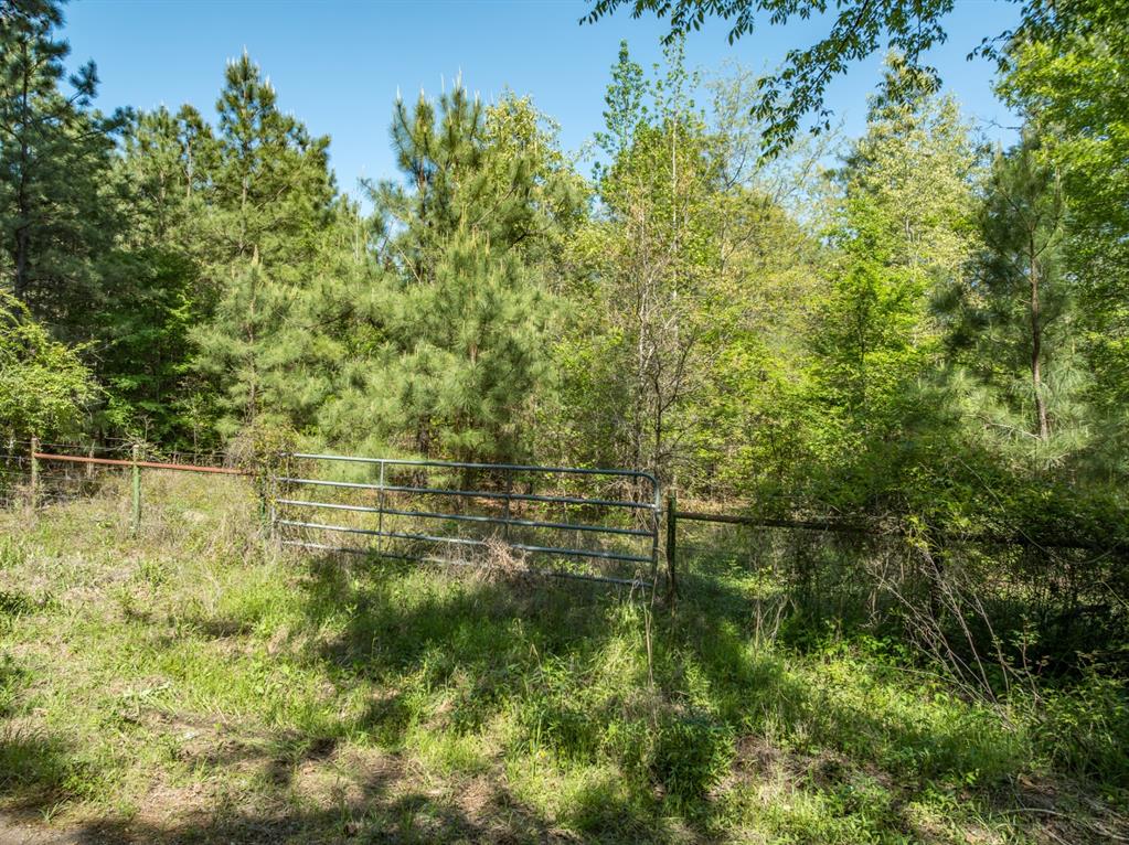 County Road 3415, Chandler, Texas image 1