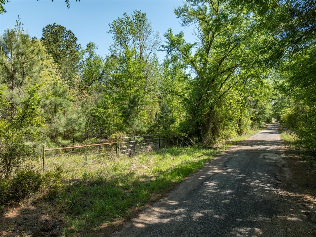 County Road 3415, Chandler, Texas image 9