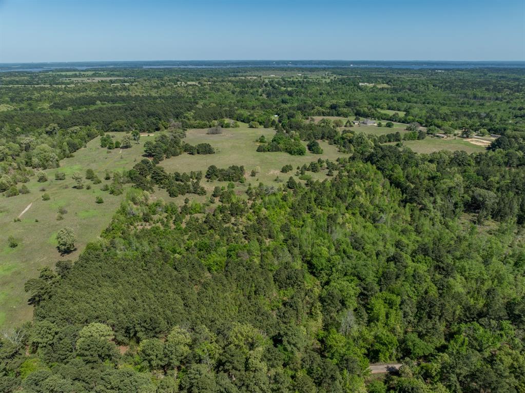 County Road 3415, Chandler, Texas image 2