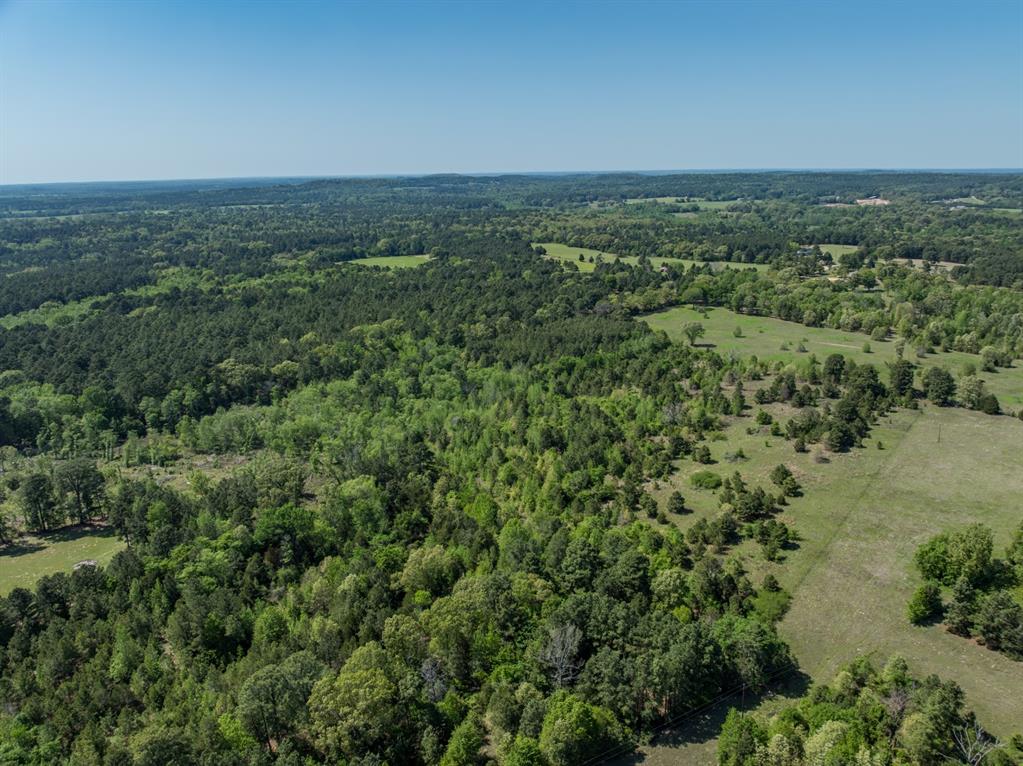 County Road 3415, Chandler, Texas image 5