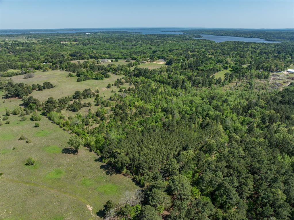 County Road 3415, Chandler, Texas image 3