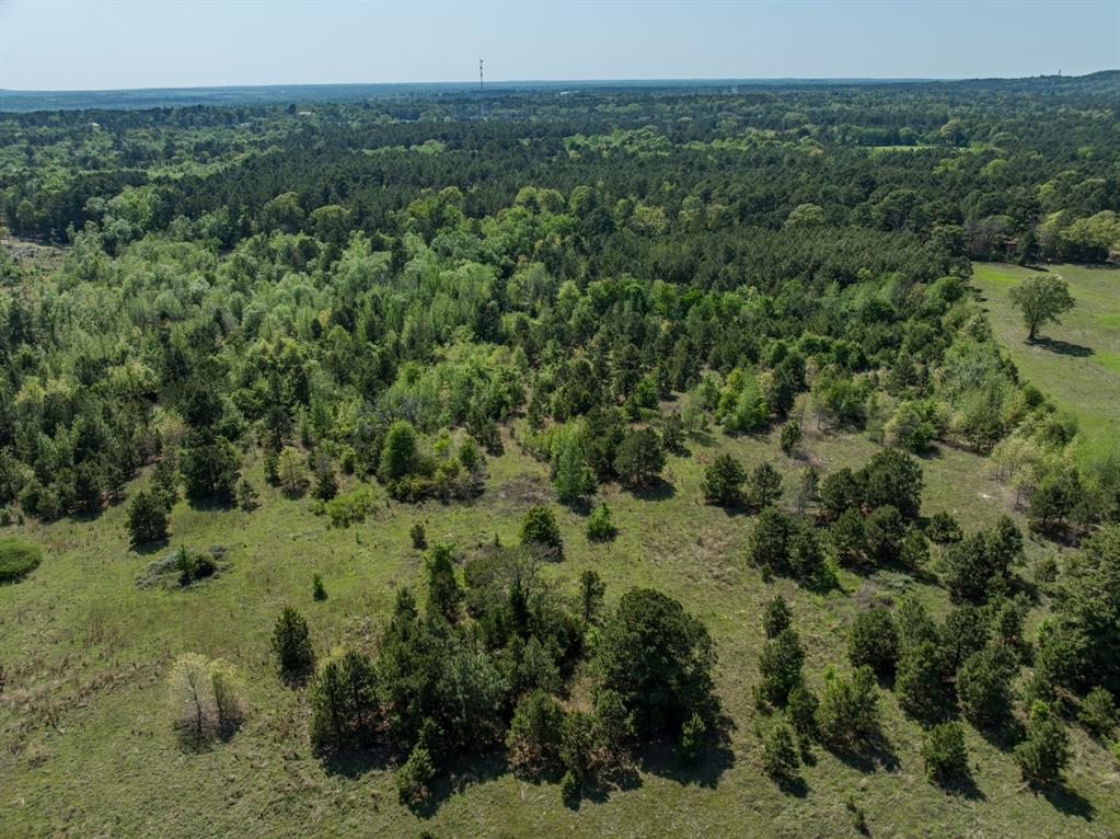 County Road 3415, Chandler, Texas image 11