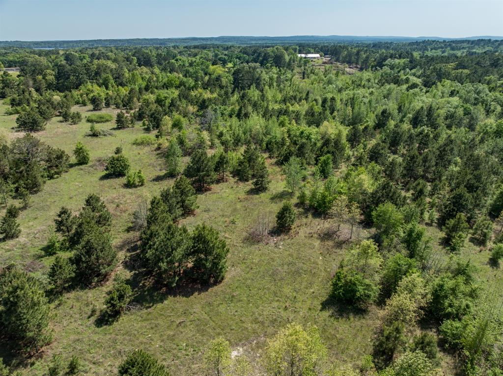 County Road 3415, Chandler, Texas image 8