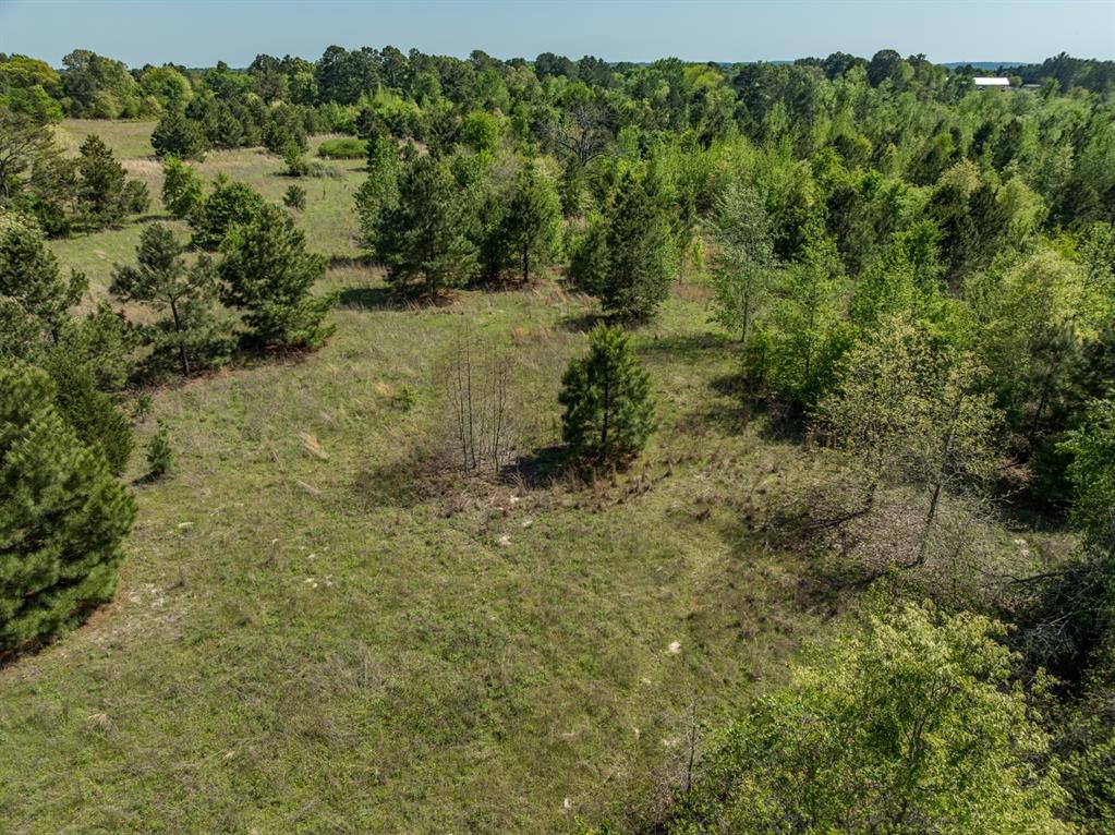 County Road 3415, Chandler, Texas image 13