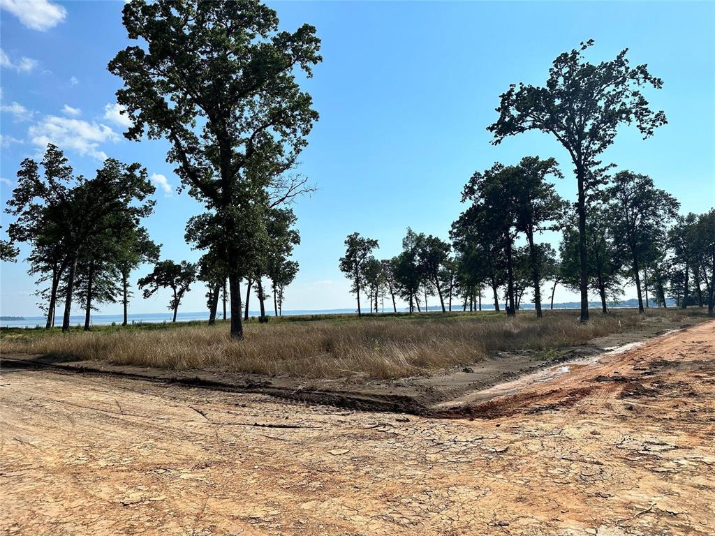 Lot 33 Island View Ranch Estates, Livingston, Texas image 8