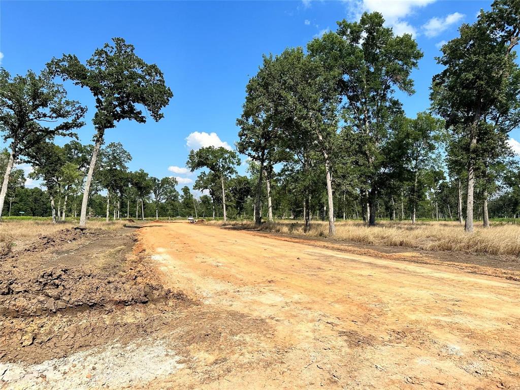 Lot 33 Island View Ranch Estates, Livingston, Texas image 6