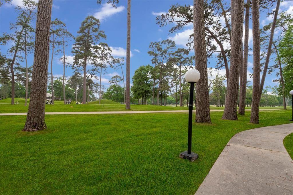 12900 Walden Road #819H, Montgomery, Texas image 34