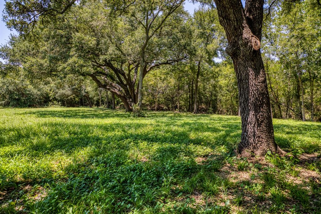 8390 Schuster Road, Ledbetter, Texas image 28