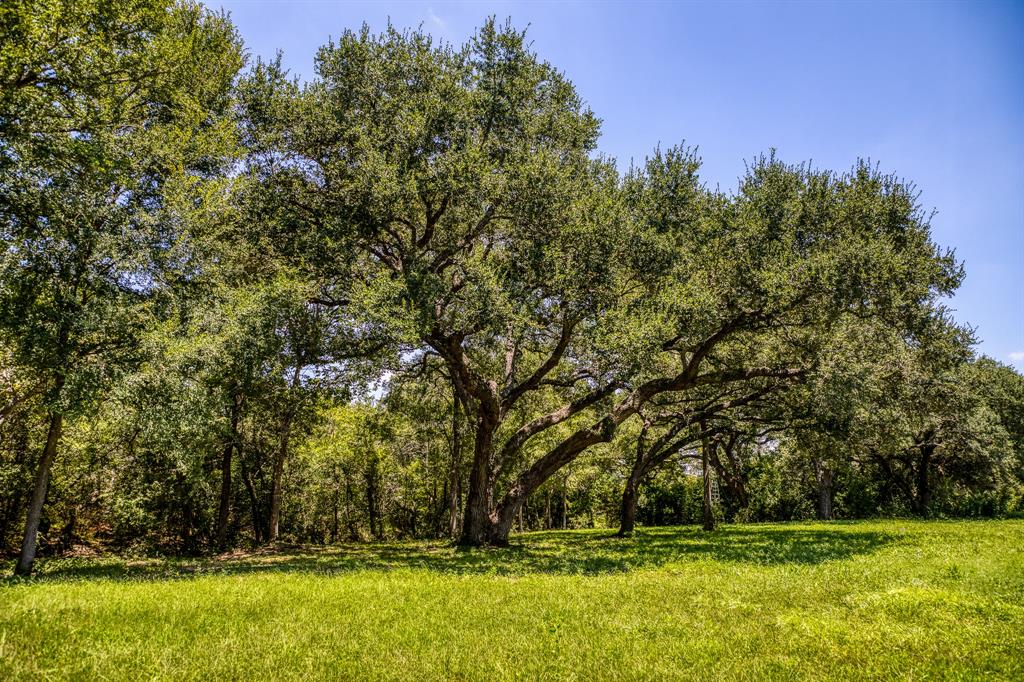 8390 Schuster Road, Ledbetter, Texas image 35