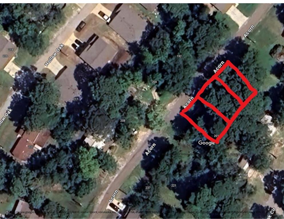 201 Acorn, Livingston, Texas image 2