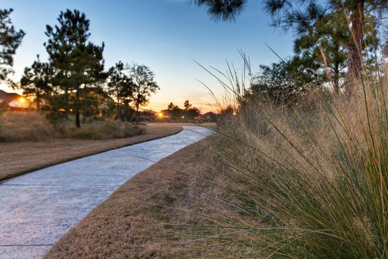 18302 Moonlit Arbor Trail Trl, Cypress, Texas image 6