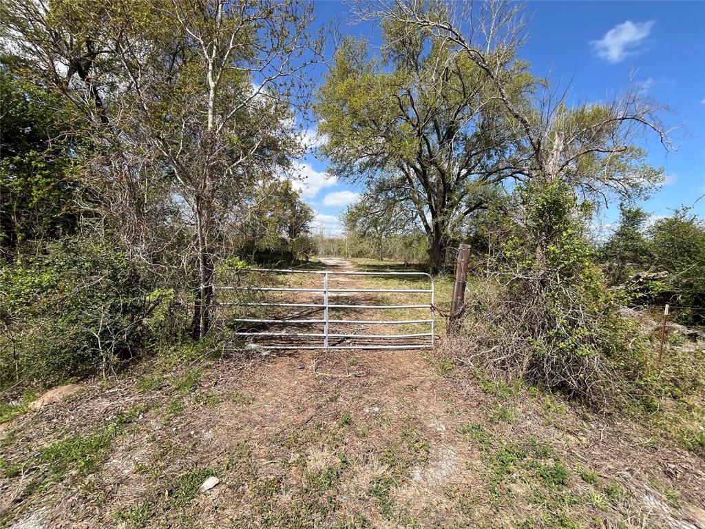 5405 County Road 2058, Hull, Texas image 6