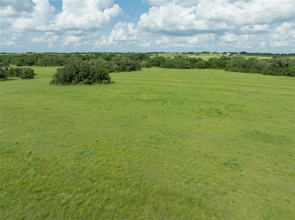 3147 Fm 956, Schulenburg, Texas image 9