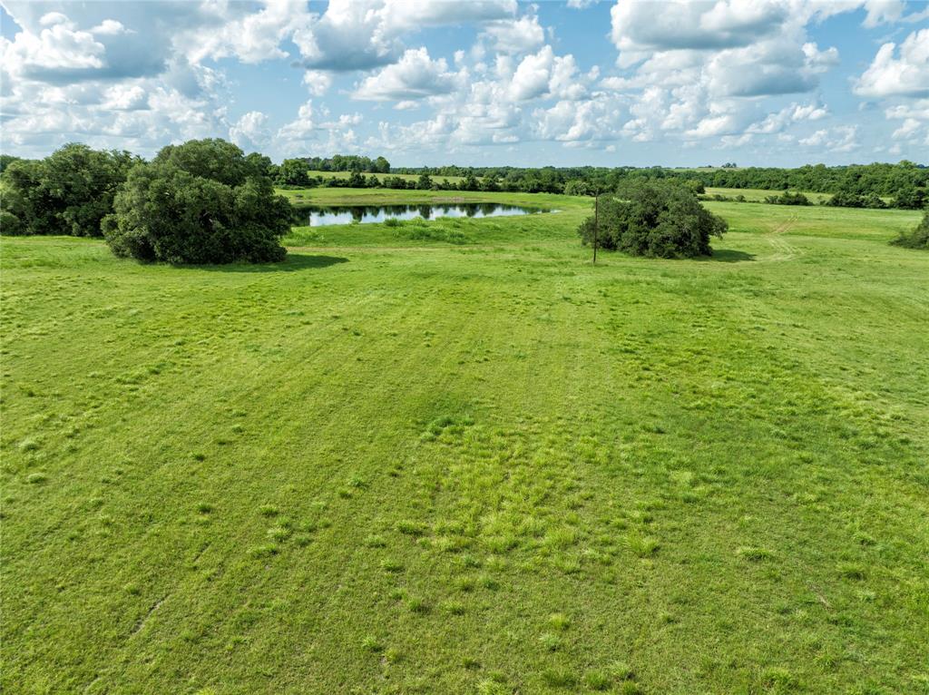 3147 Fm 956, Schulenburg, Texas image 8