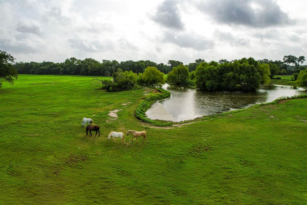 1331 E Parker Road, Muldoon, Texas image 16