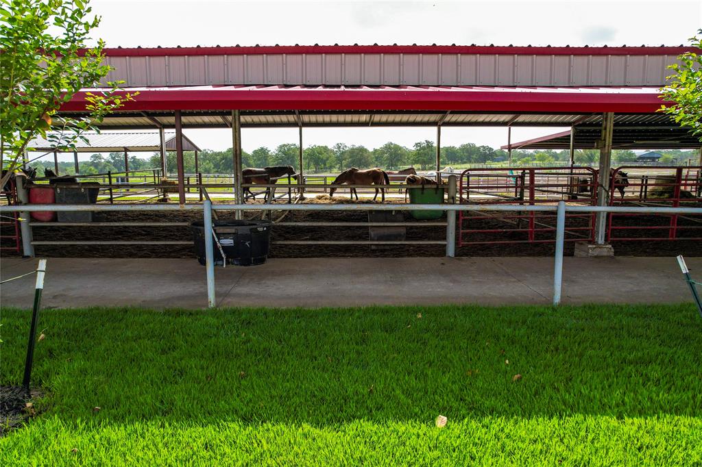 1331 E Parker Road, Muldoon, Texas image 7