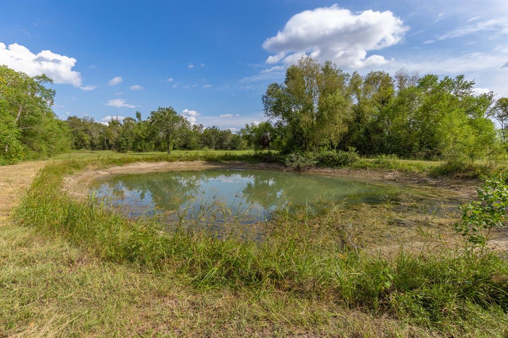 1211 Hare Cook Road, Crosby, Texas image 10