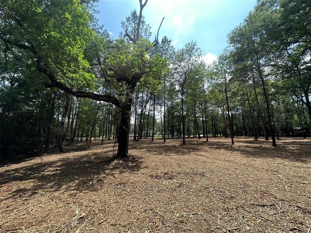 TBD Meadow Lake Road, Cleveland, Texas image 4