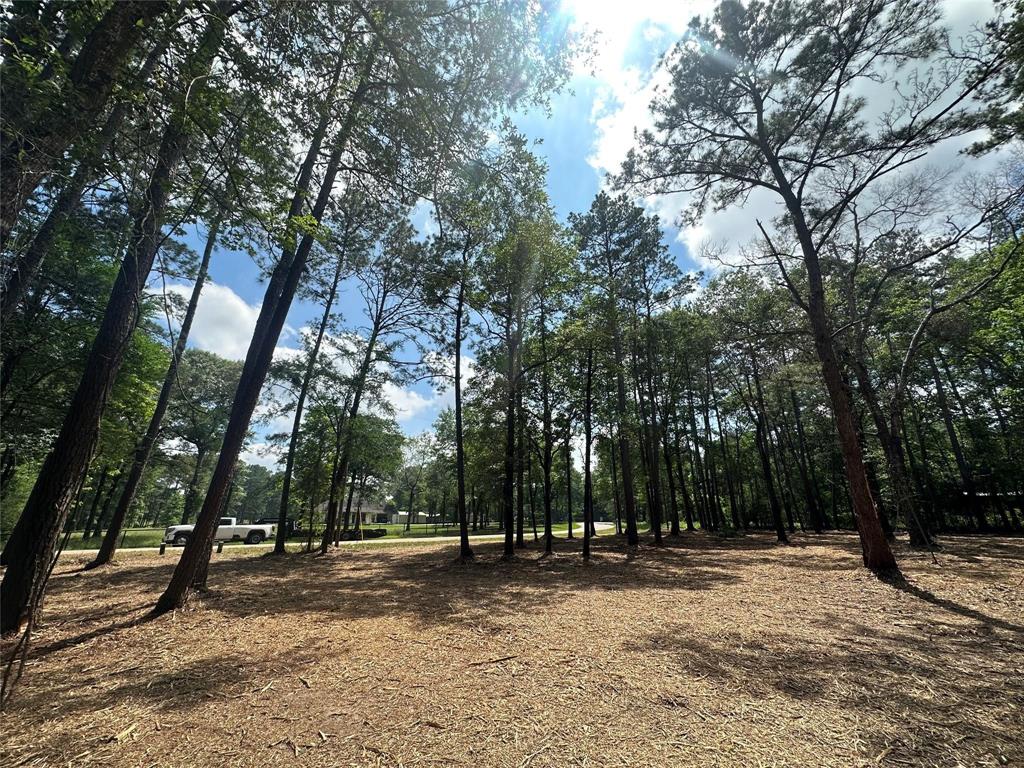 TBD Meadow Lake Road, Cleveland, Texas image 12