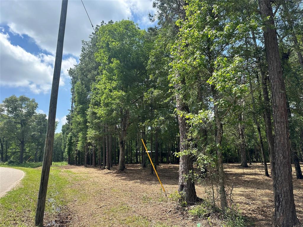 TBD Meadow Lake Road, Cleveland, Texas image 3