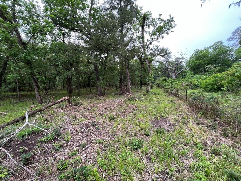 2872 Brazoria County Road, Angleton, Texas image 5