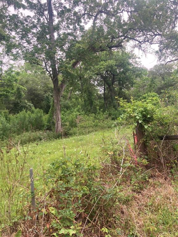 2872 Brazoria County Road, Angleton, Texas image 8