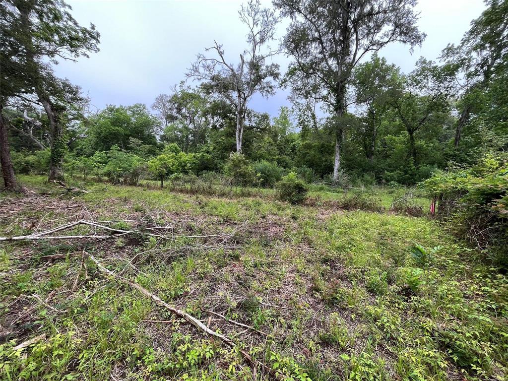 2872 Brazoria County Road, Angleton, Texas image 6