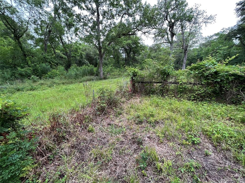 2872 Brazoria County Road, Angleton, Texas image 4