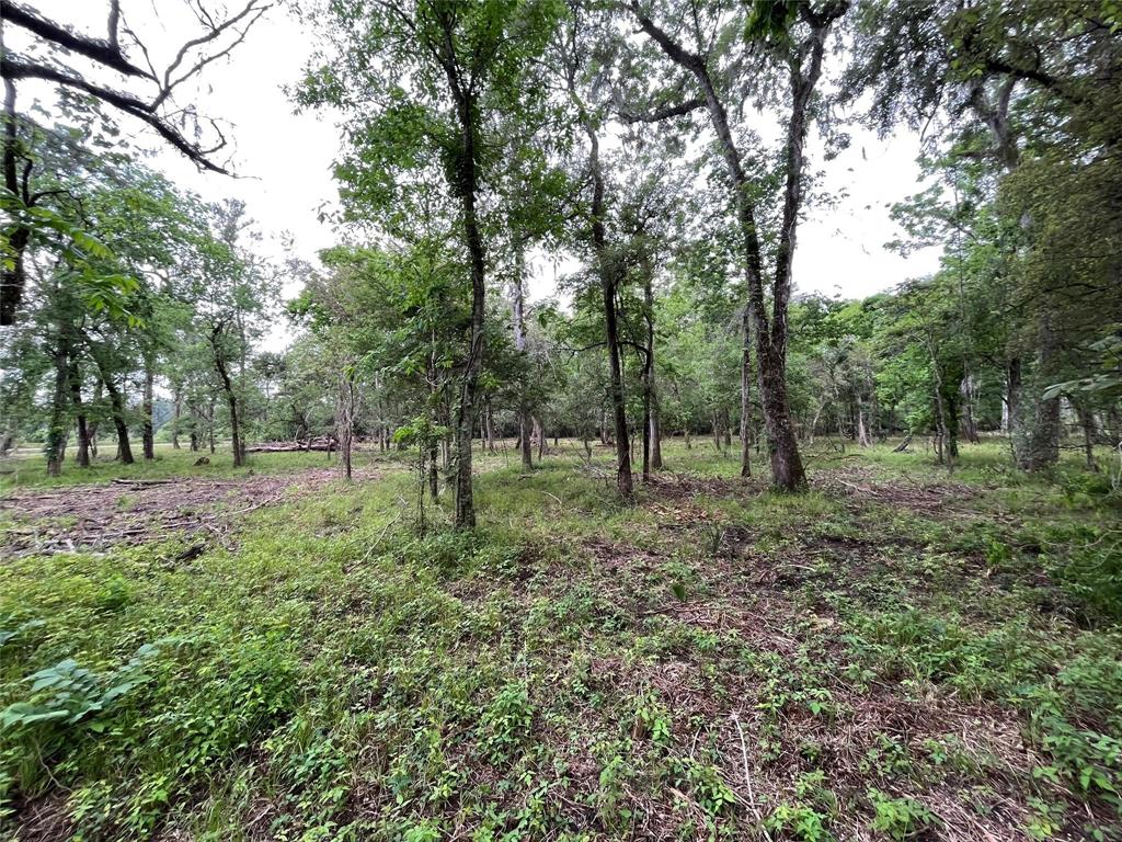 2872 Brazoria County Road, Angleton, Texas image 2