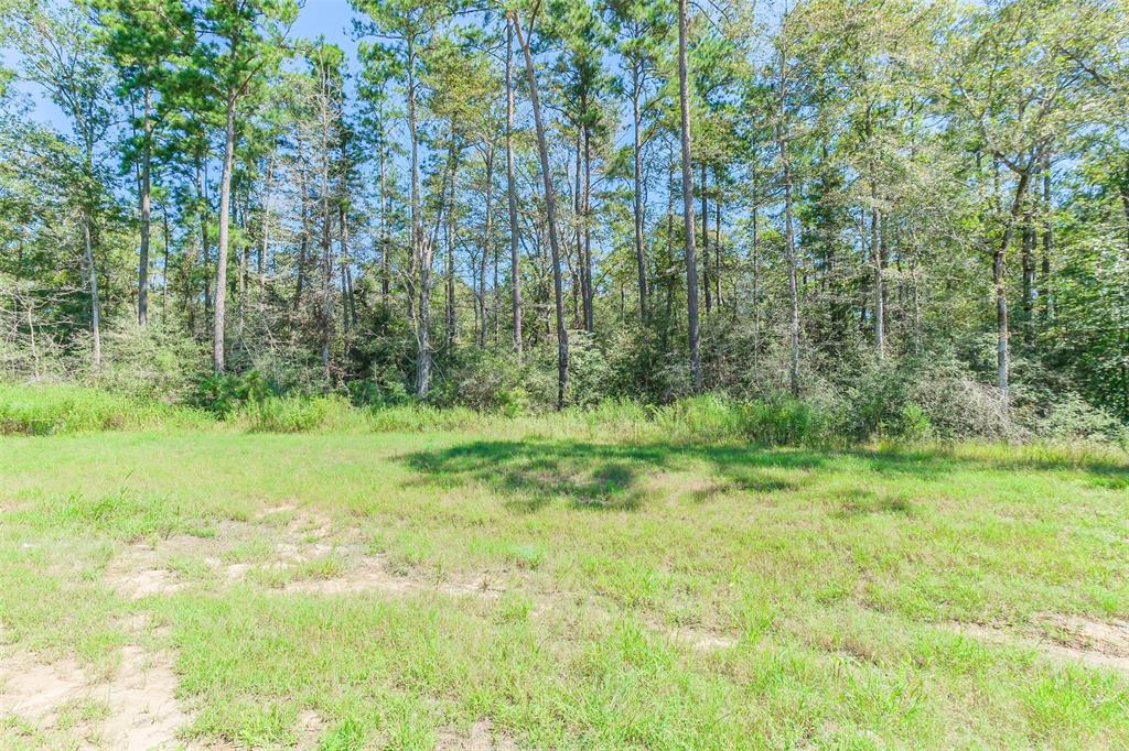 10711 Ruger Road, Willis, Texas image 12