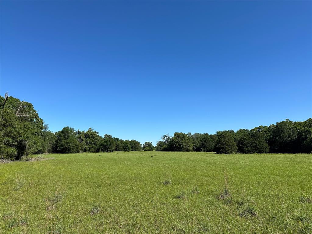 7AC Fcrr 611, Teague, Texas image 7