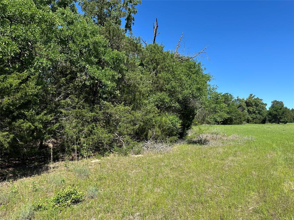 7AC Fcrr 611, Teague, Texas image 8
