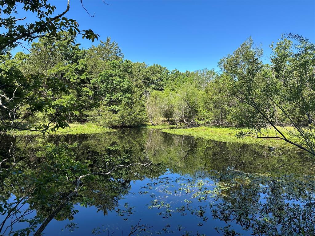 7AC Fcrr 611, Teague, Texas image 3