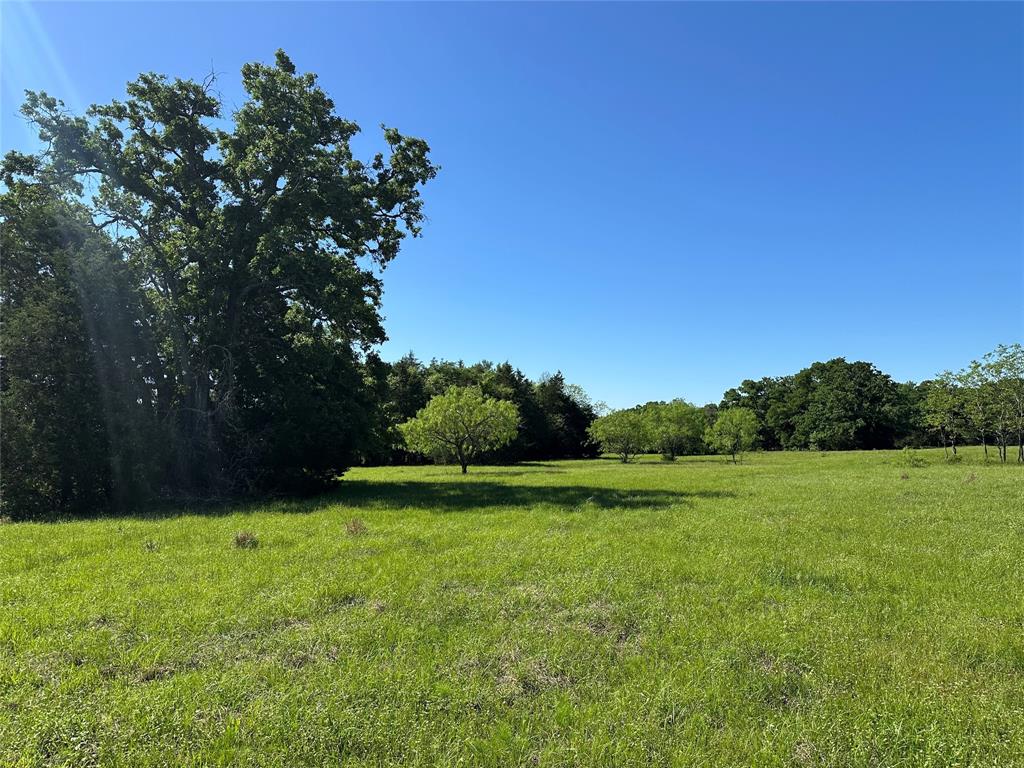 7AC Fcrr 611, Teague, Texas image 9
