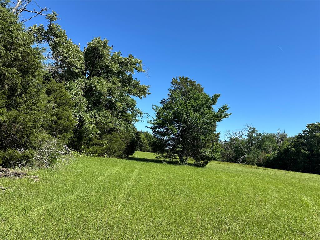 7AC Fcrr 611, Teague, Texas image 1