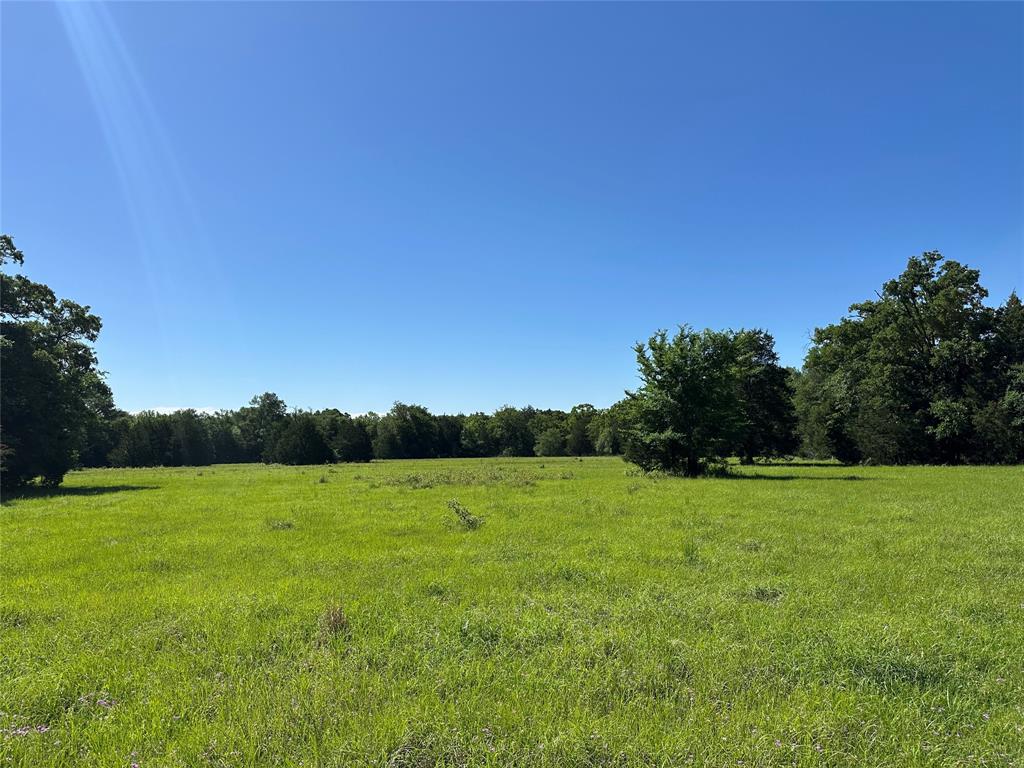 7AC Fcrr 611, Teague, Texas image 10