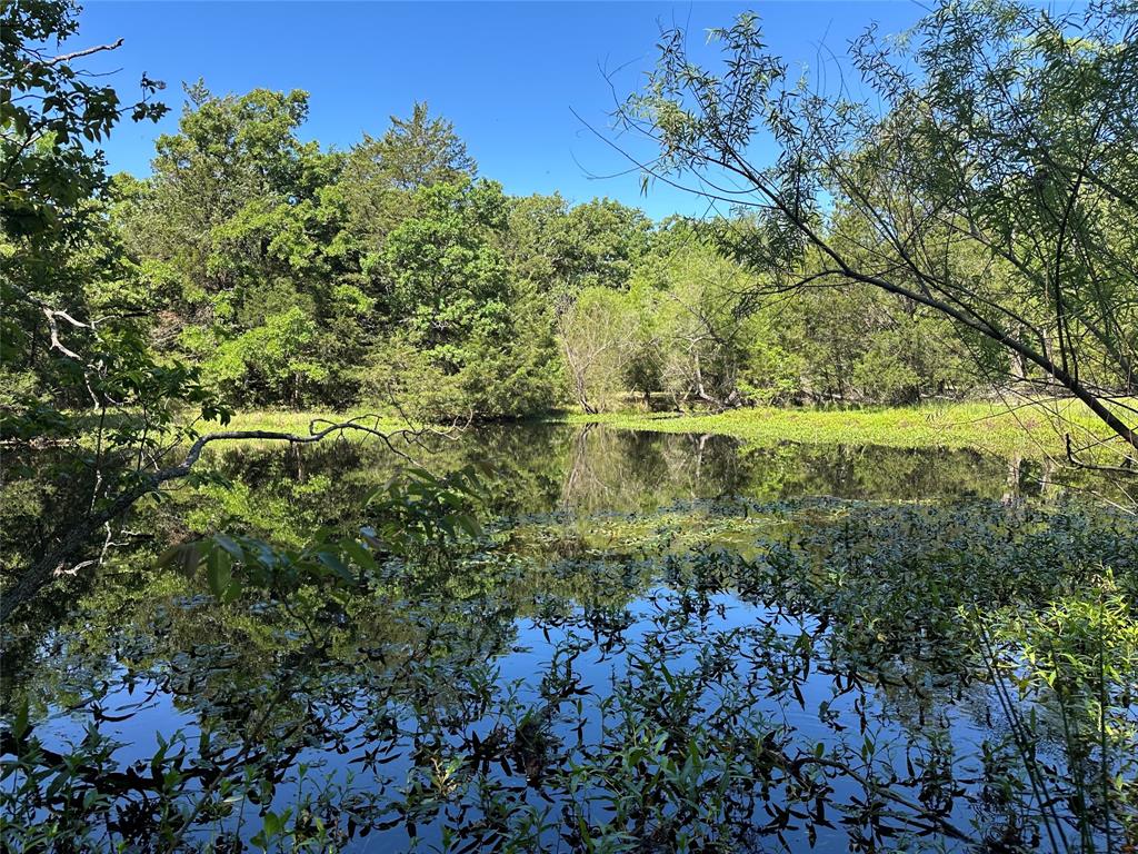 7AC Fcrr 611, Teague, Texas image 2