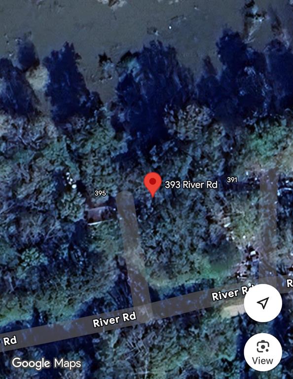 393 River Road, Dayton, Texas image 1