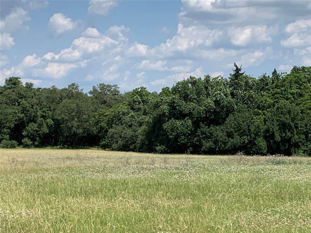 TBD Fm 532, Moulton, Texas image 8