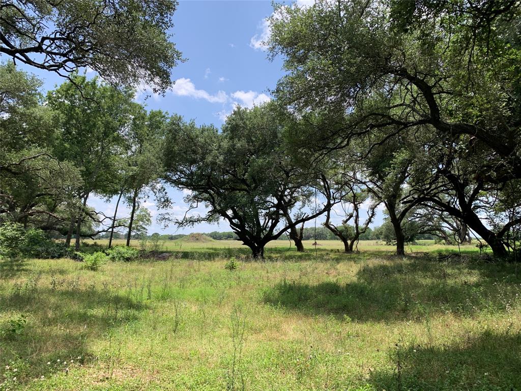 TBD Fm 532, Moulton, Texas image 6