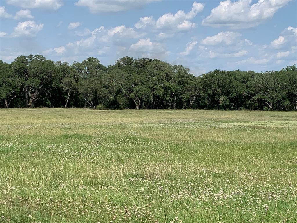 TBD Fm 532, Moulton, Texas image 24