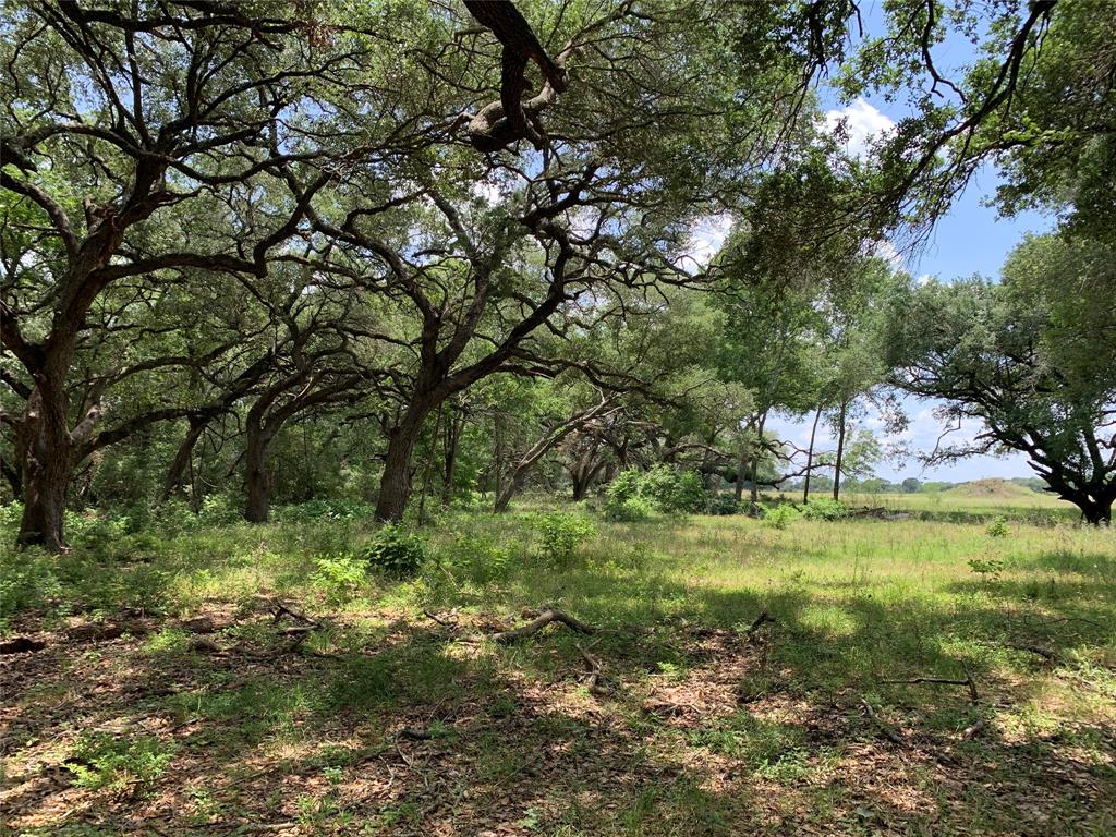TBD Fm 532, Moulton, Texas image 17
