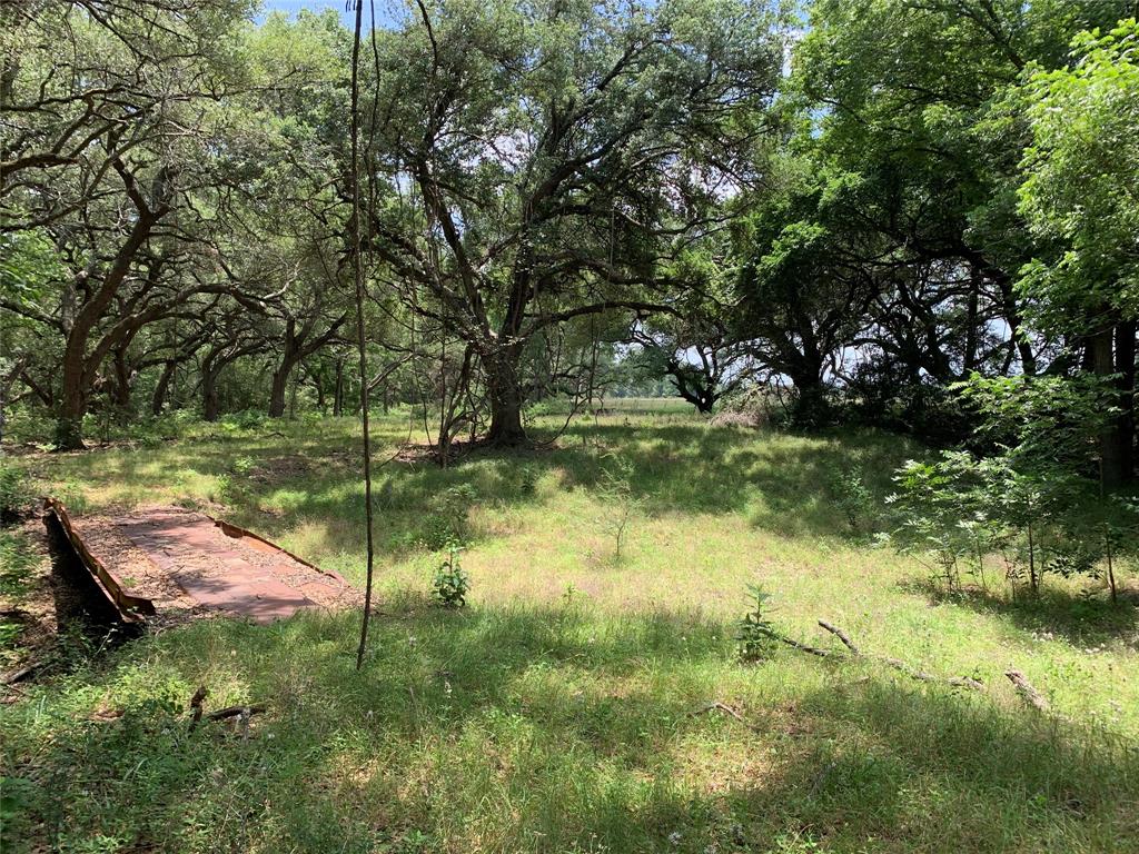 TBD Fm 532, Moulton, Texas image 3