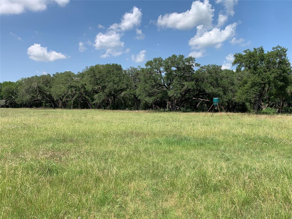 TBD Fm 532, Moulton, Texas image 29