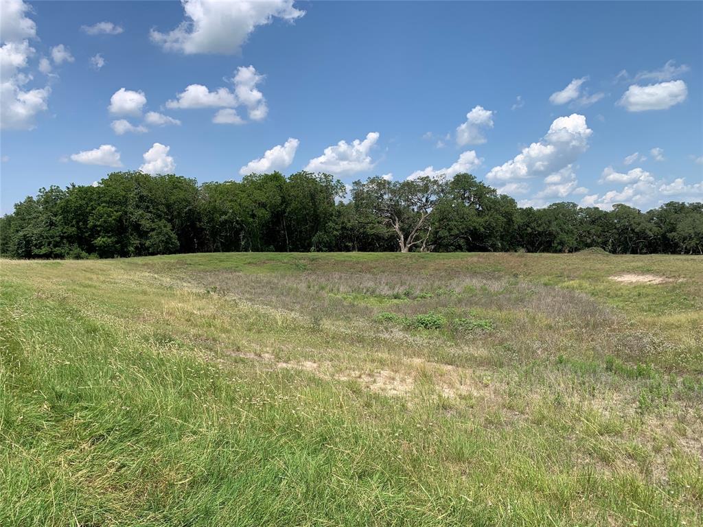 TBD Fm 532, Moulton, Texas image 21