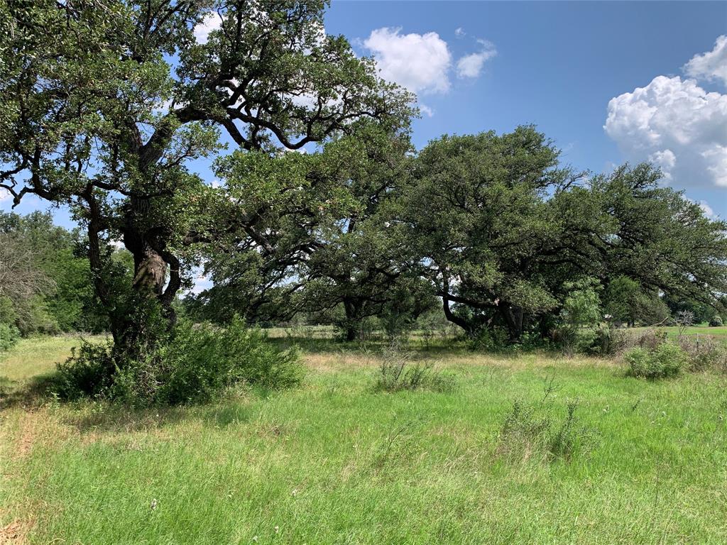 TBD Fm 532, Moulton, Texas image 30